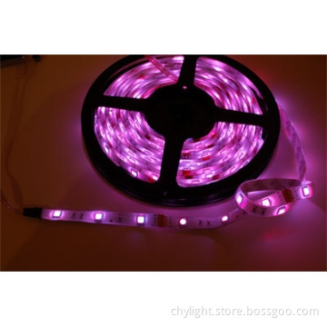 72W 16.4Ft  DC12V IP64 Waterproof RGB LED Strip Light
